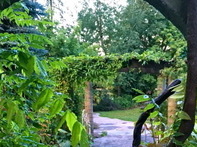 Resonance Repatterning